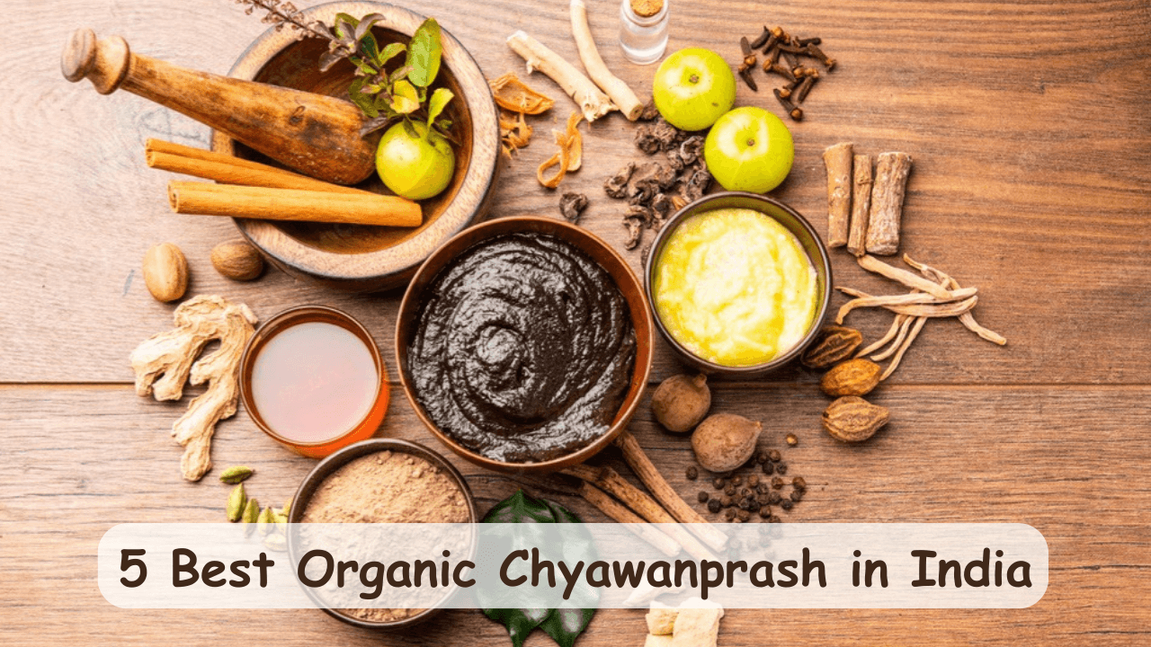 Best Organic Chyawanprash In India