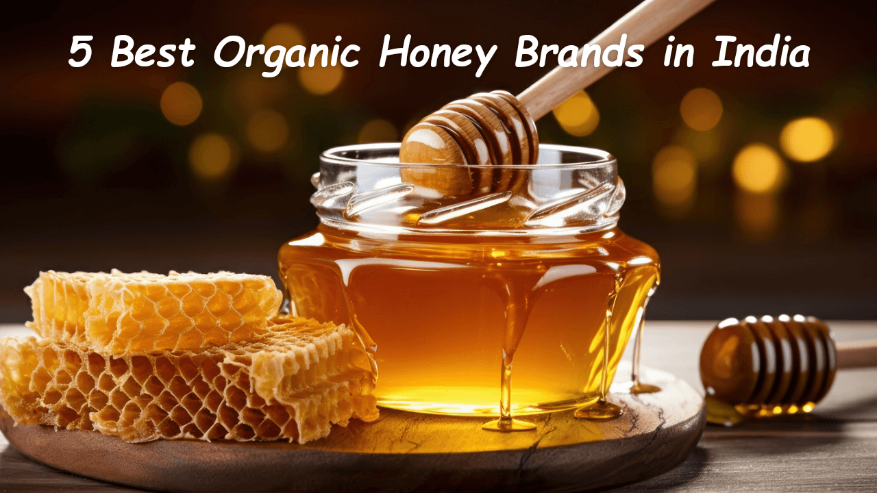 Best Organic Honey Brands In India