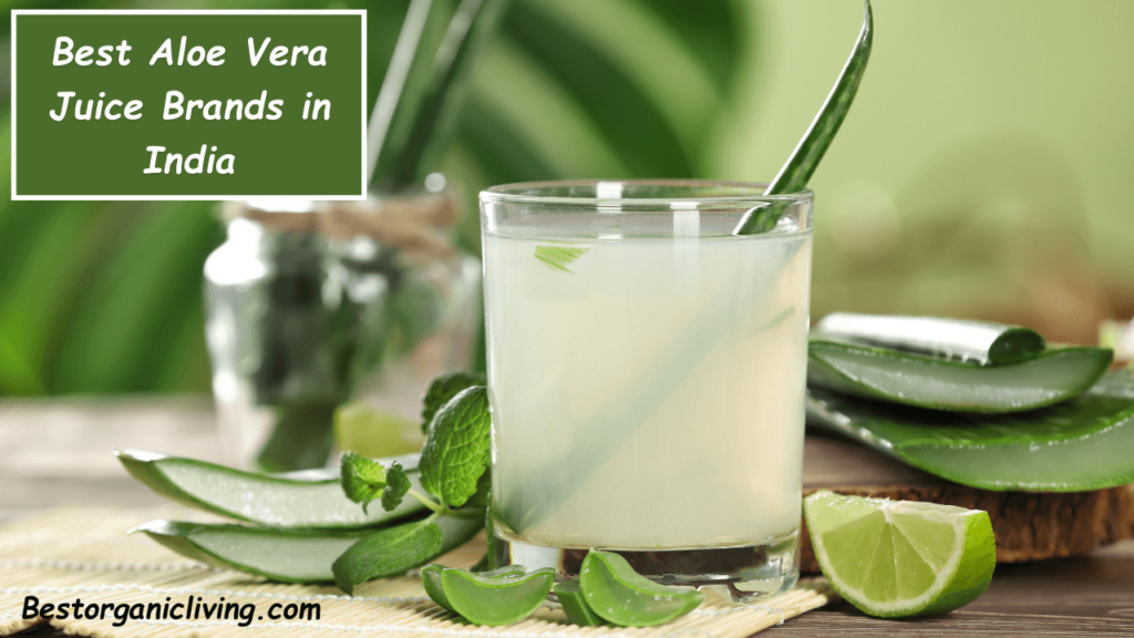 best aloe vera juice brands in India