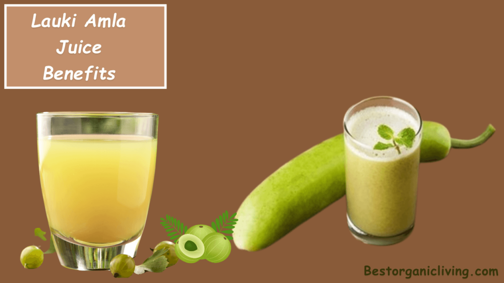 Lauki Amla Juice Benefits