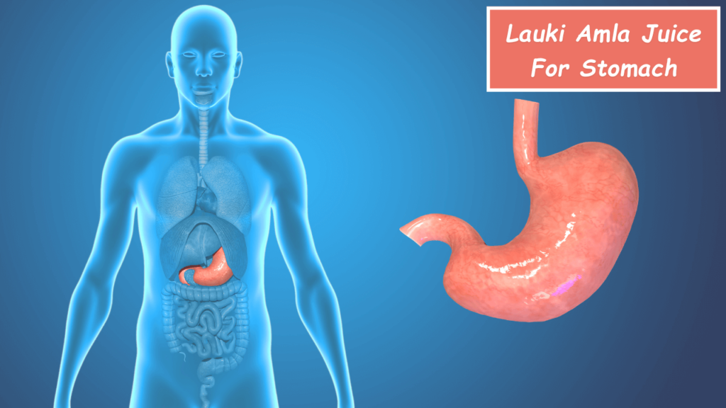 Benefits of Lauki Amla Juice For Stomach