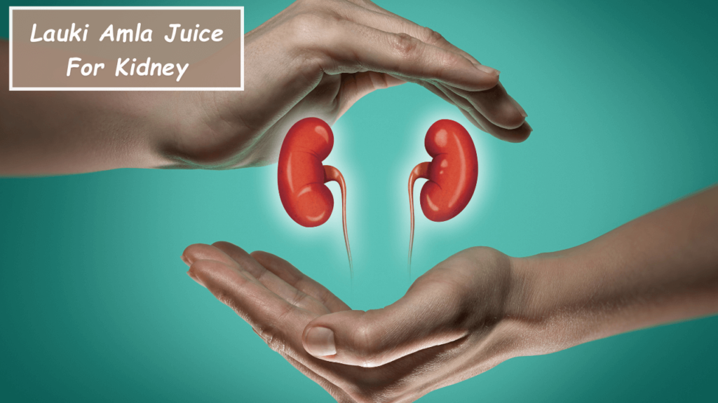 Benefits of Lauki Amla juice For Kidney